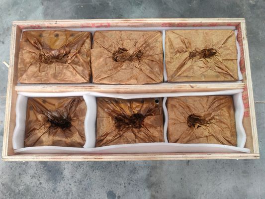 প্লাস্টিক পুনর্ব্যবহারের মেশিনের জন্য এক্সট্রুডার স্ক্রু ব্যারেল