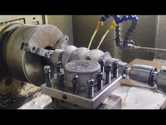 বারস্টফ ট্যুইন স্ক্রু এক্সট্রুডার স্ক্রু সেগমেন্ট এবং ব্যারেল